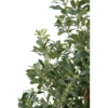 Pittosporum artificiel 150 cm – Image 3