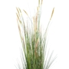 Zannichellie des marais artificiel – Image 5
