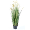 Papyrus scirpus validus artificiel – Image 2