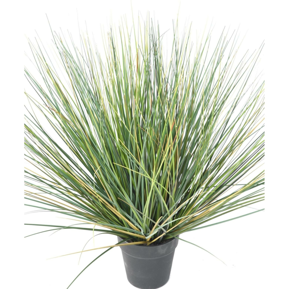 Herbe artificiel – Image 3