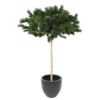 Pin artificiel – Image 4