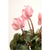 Cyclamen artificiel 32 cm – Image 2