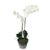 Phalaenopsis blanc artificiel 85 cm