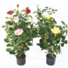 Rosier royal artificiel rose 60 cm – Image 4