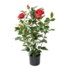 Rosier royal artificiel rouge 60 cm