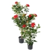 Rosier royal artificiel rouge 60 cm – Image 3