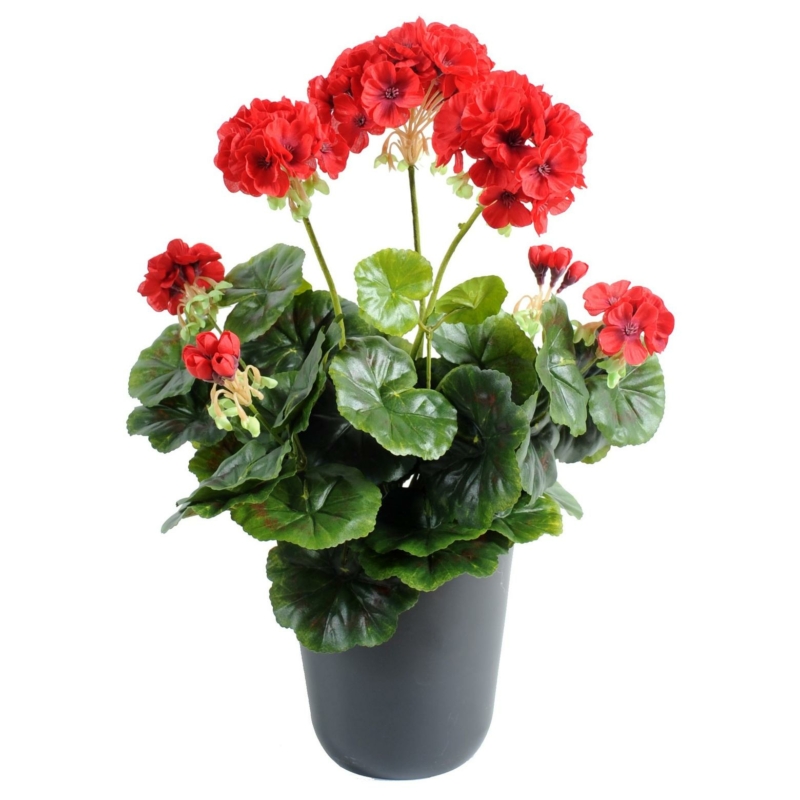 Geranium artificiel rouge 40 cm