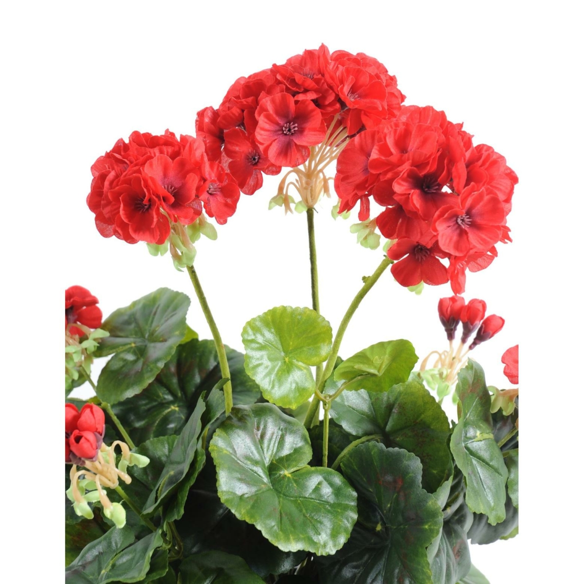 Geranium artificiel rouge 40 cm – Image 3