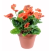 Pensée orange artificiel 26 cm – Image 2