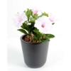 Petunia artificiel lilas 25 cm