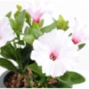 Petunia artificiel lilas 25 cm – Image 2