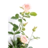 Rose guirlande royale artificiel rose et crème 140 cm – Image 2