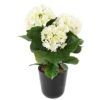 Hortensia artificiel blanc 45 cm - résistant aux UV