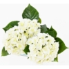 Hortensia artificiel blanc 45 cm - résistant aux UV – Image 3
