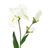 Iris artificiel 74 cm