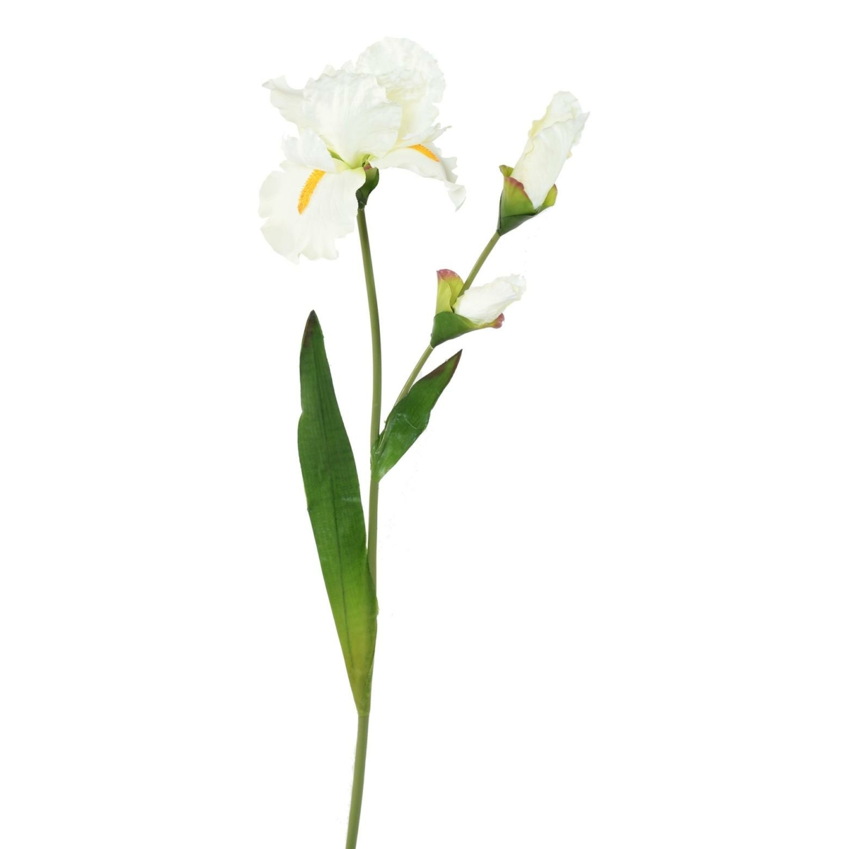 Iris artificiel 74 cm – Image 2
