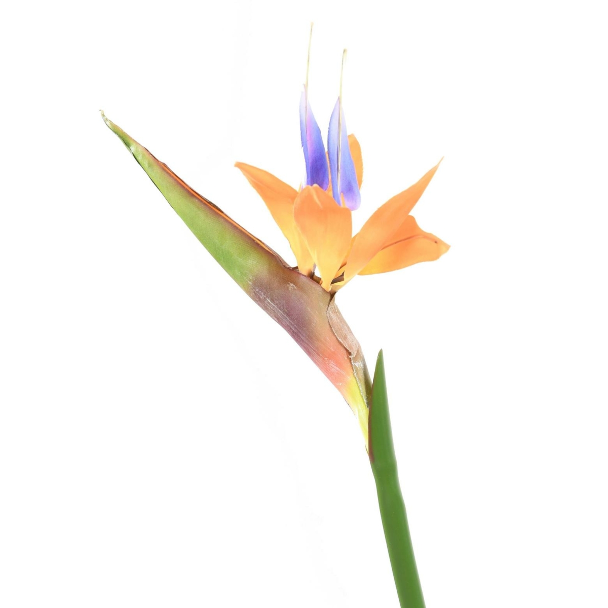 Strelitzia artificiel 80 cm – Image 2