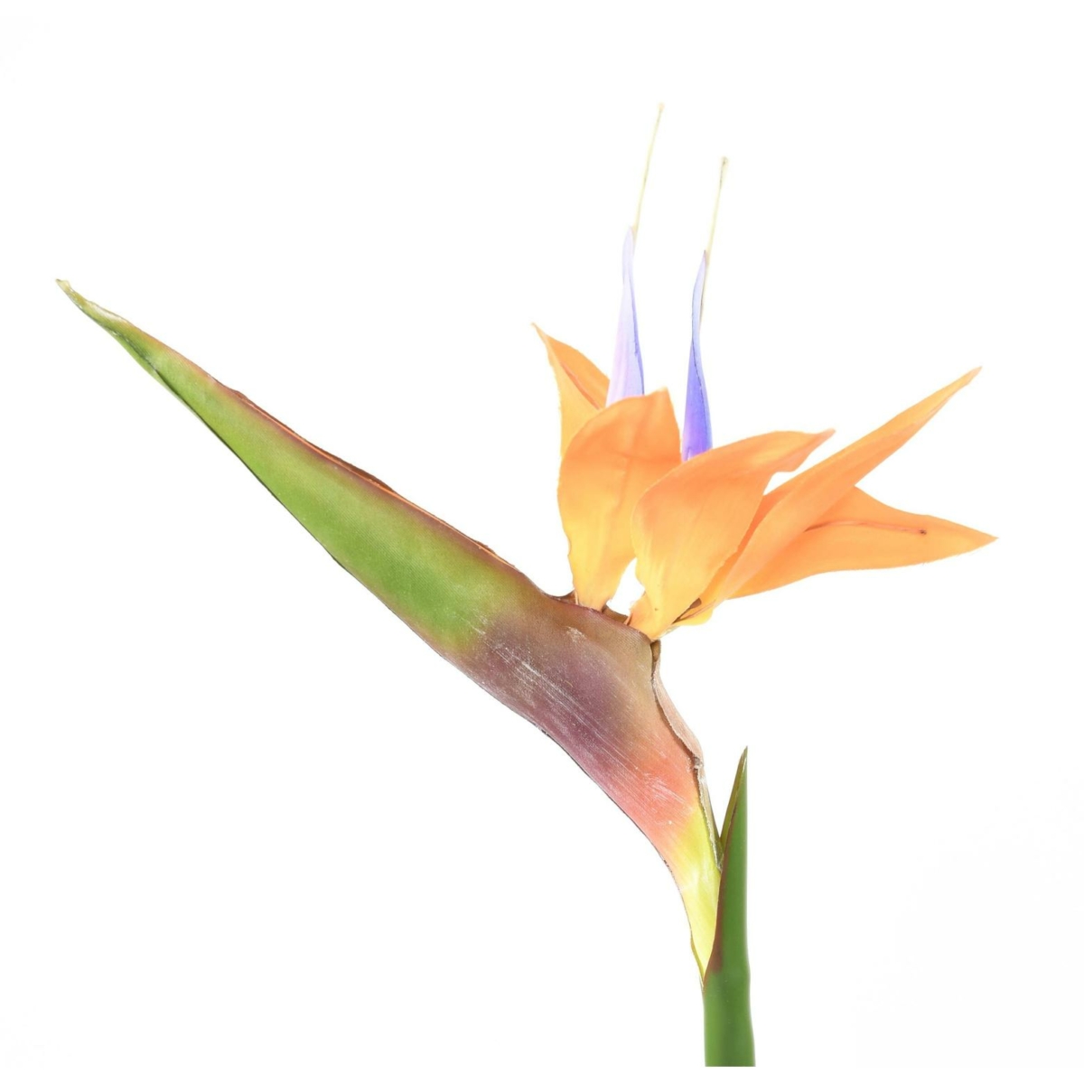 Strelitzia artificiel 80 cm – Image 5