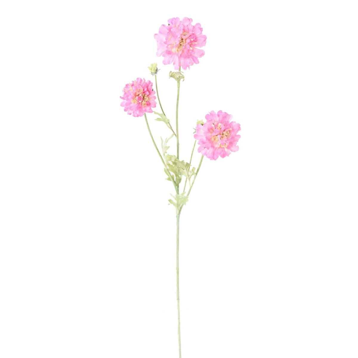 Scabieuse artificiel rose 75 cm – Image 2