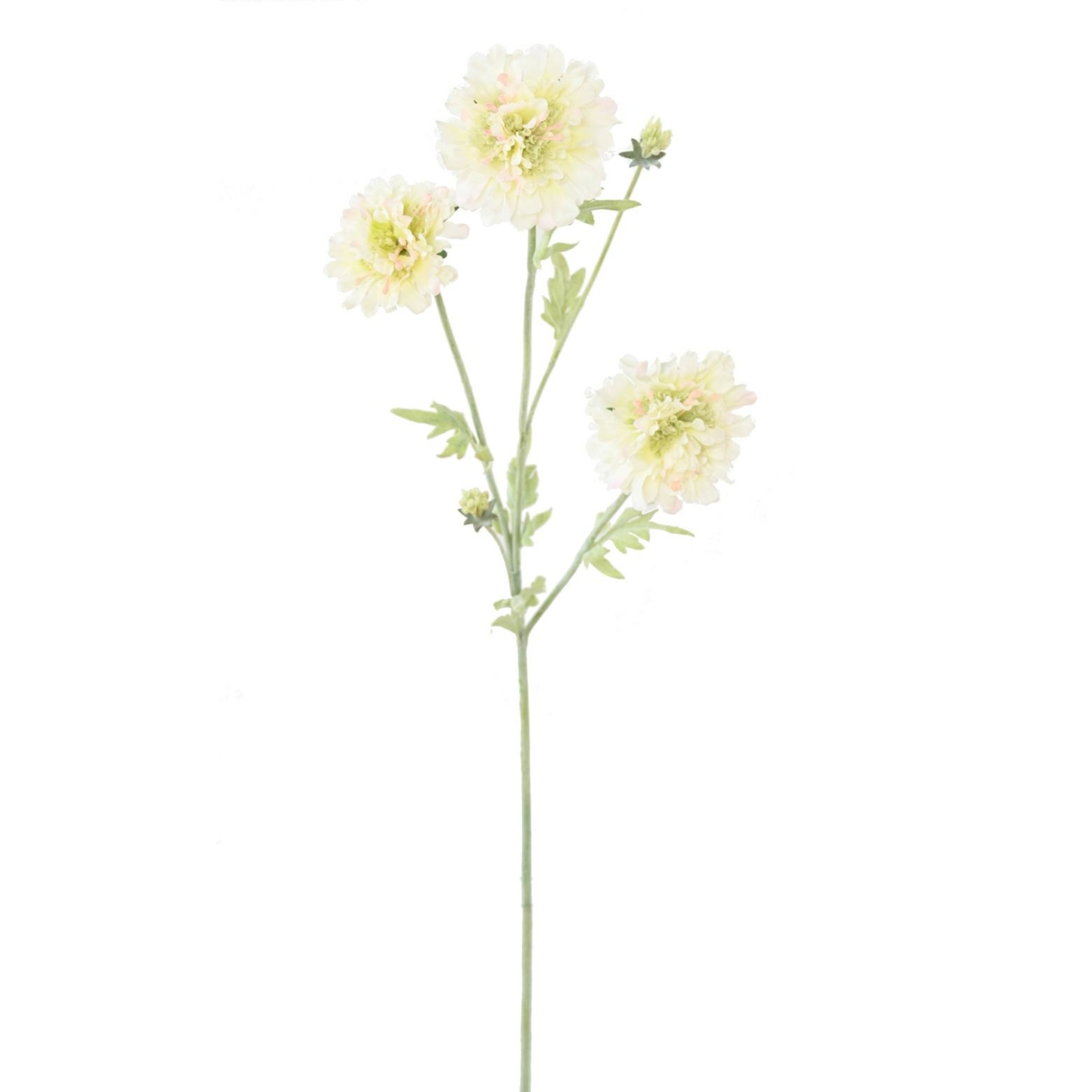 Scabieuse artificiel blanc 75 cm – Image 2