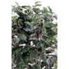 Ficus exotica buisson artificiel vert – Image 2