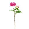 Pivoine artificiel rose 55 cm