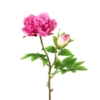 Pivoine artificiel rose 55 cm – Image 2