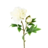 Pivoine artificiel blanc 55 cm – Image 2