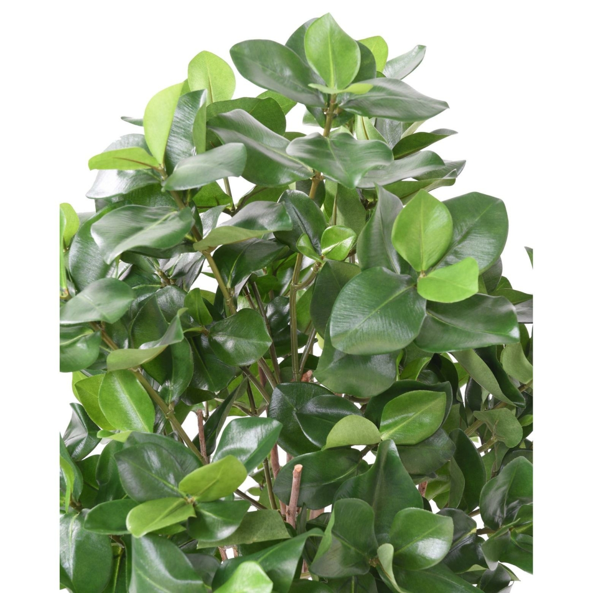Clusia buisson artificiel vert 95 cm – Image 3