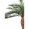 Phoenix artificiel – Image 3