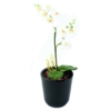 Orchidée double artificiel 45 cm – Image 2