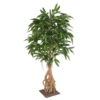 Ficus avec racine artificiel