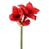 Amaryllis tige artificiel 75 cm