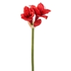 Amaryllis tige artificiel 75 cm – Image 2