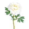 Renoncule single artificiel 58 cm