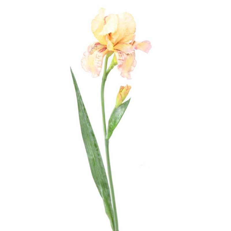Iris artificiel beige 70 cm