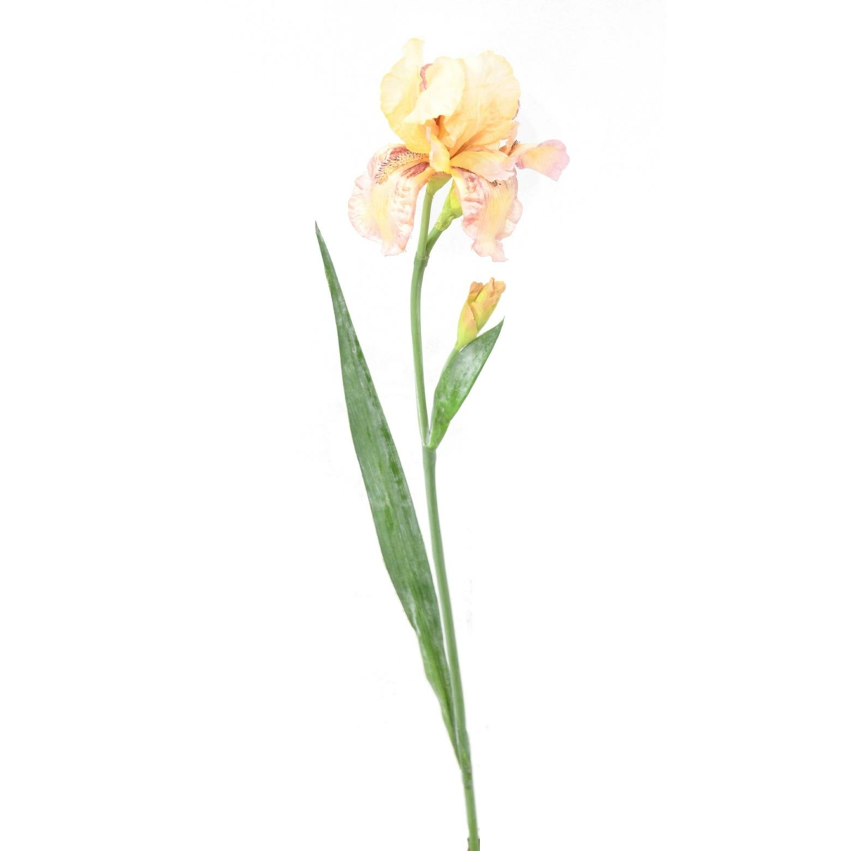 Iris artificiel beige 70 cm – Image 2
