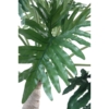 Philodendron selloum arbre artificiel 210 cm – Image 4