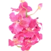 Orchidée Vanda rose artificiel 70 cm – Image 2