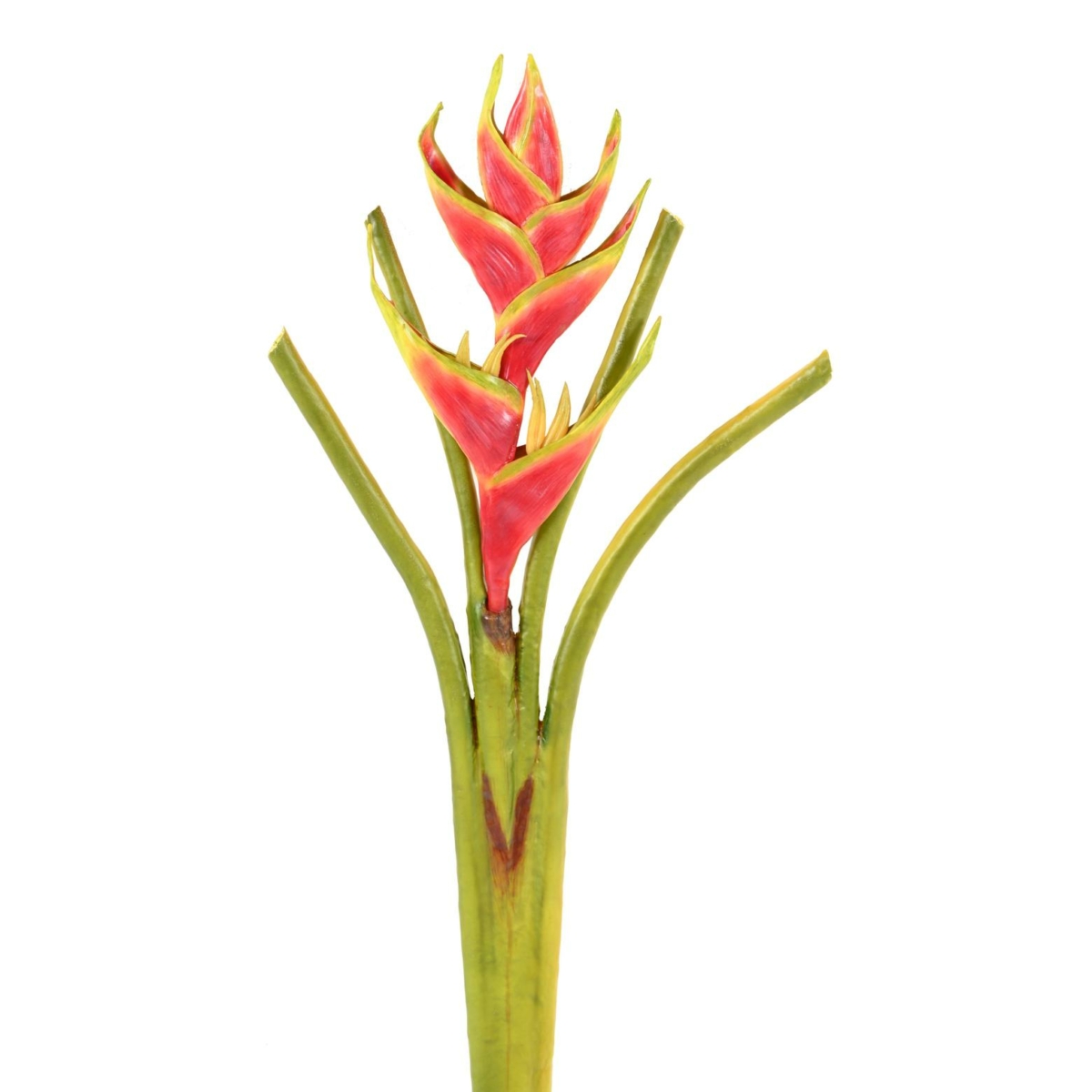 Heliconia artificiel 80 cm – Image 2