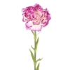 Oeillet artificiel violet et blanc 55 cm