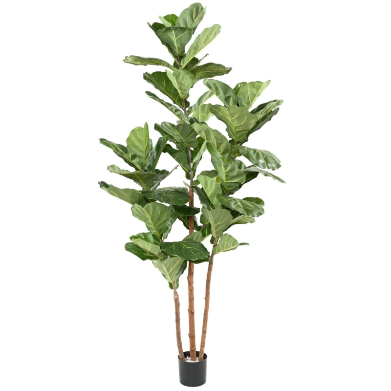 Lyrata 3 tiges artificiel 190 cm