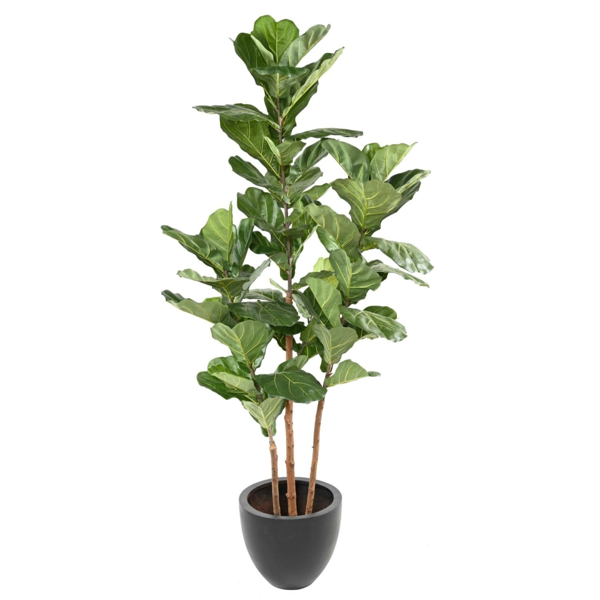 Lyrata 3 tiges artificiel 190 cm – Image 2