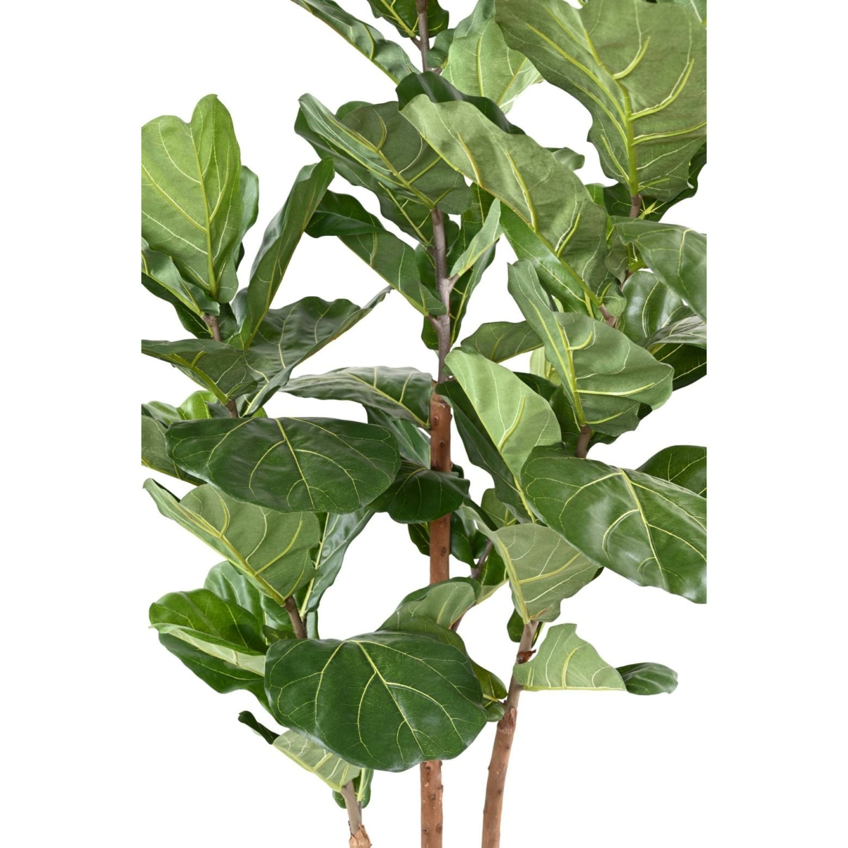 Lyrata 3 tiges artificiel 190 cm – Image 3