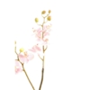 Orchidée tige artificiel 70 cm – Image 2