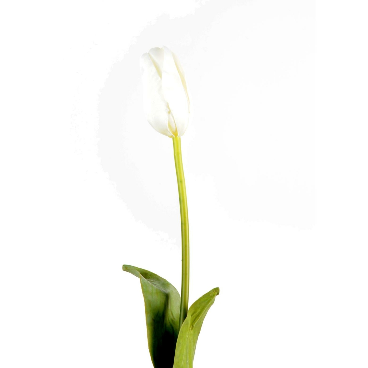 Tulipe artificiel blanc 79 cm – Image 2