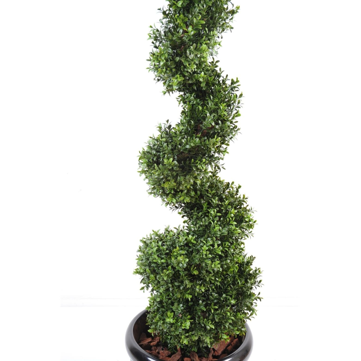 Buis spirale artificiel – Image 2