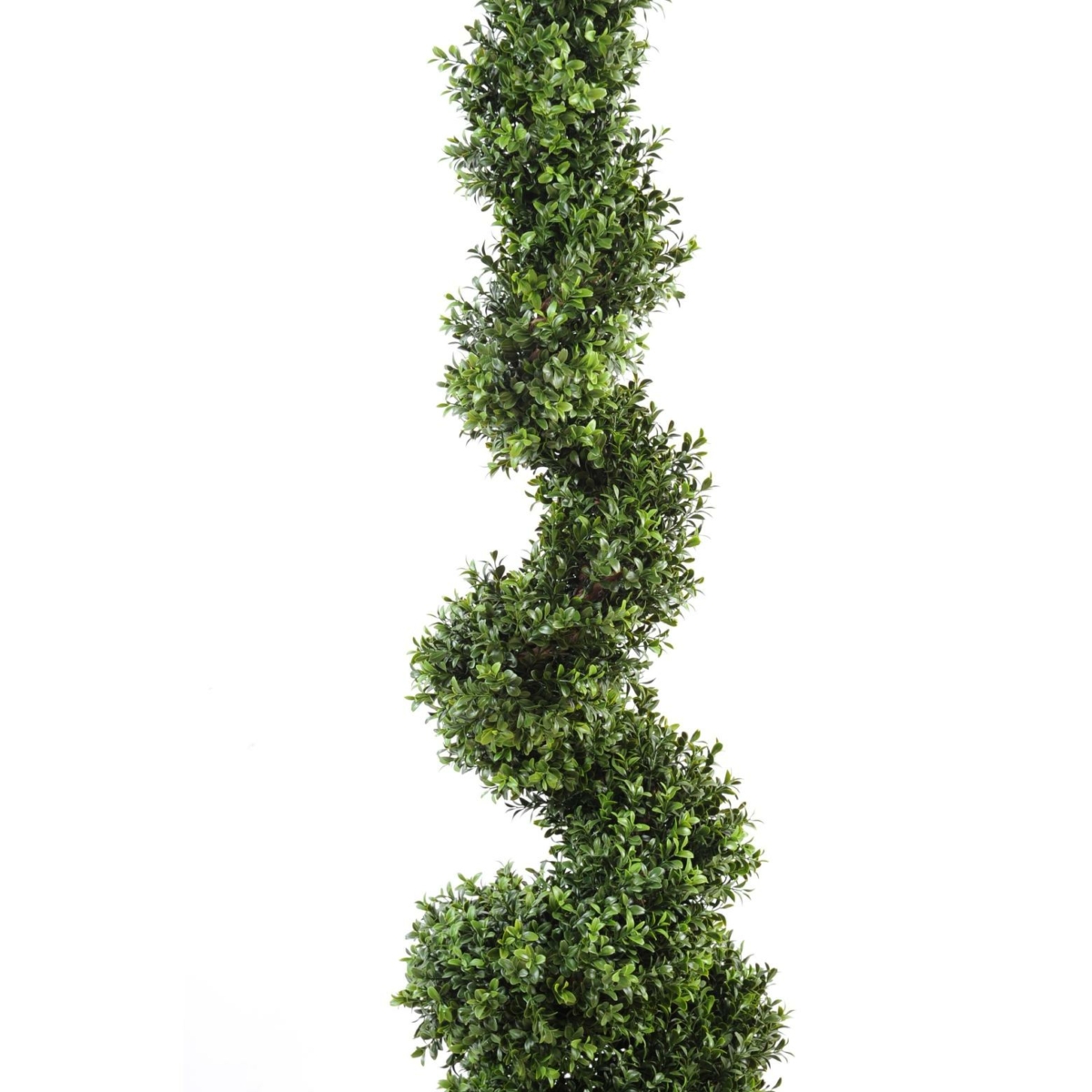 Buis spirale artificiel – Image 5