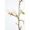 Magnolia artificiel 83 cm – Image 2