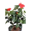 Hibiscus artificiel rose 110 cm – Image 3